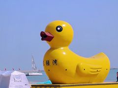 -天津东疆湾沙滩景区