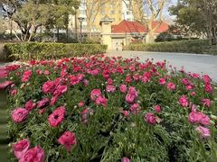 -徐家汇源景区-衡山公园