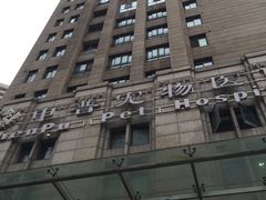 -申普宠物医院·心脏介入·心血管微创(总院)