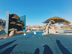 -罗红摄影艺术馆