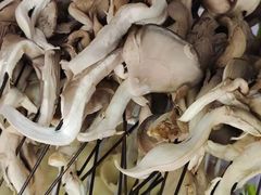 -尕胡才炕锅烤羊肉馆(八一路店)