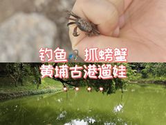 -黄埔古港