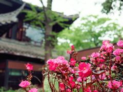 -大妙火锅·非物质文化遗产(东湖公园店)