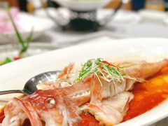 -名人名家     浙菜.家宴