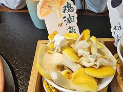 -菌自由丨野生菌火锅特色庭院餐厅(丽江古城店)