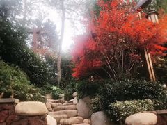 -天目湖涵田半山温泉