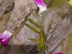 -大熊猫毛肚火锅(烟台万象汇店)