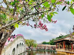 -宝墨园景区