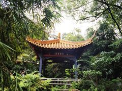 -广州兰圃