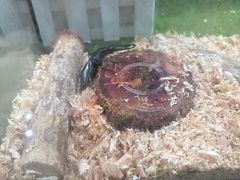 -上海昆虫博物馆