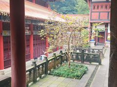 -都江堰普照寺