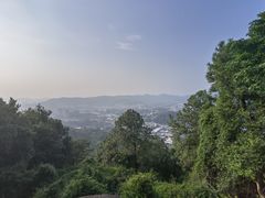 -火炉山森林公园