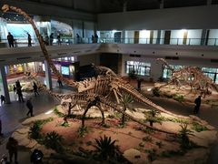 -自贡恐龙博物馆
