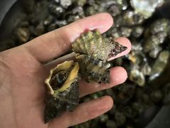 -涠洲岛南湾海洋运动公园