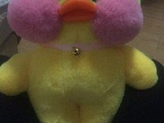 -PAWTOY爪e玩偶店(天兴罗斯福店)