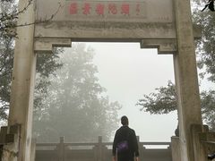 -紫金山山顶公园