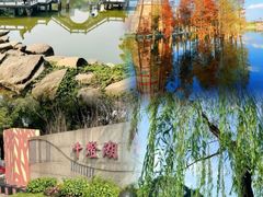 -山水茶艺馆·点心粤菜·30年老字号