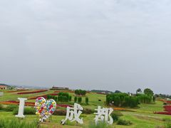 -空港花田景区