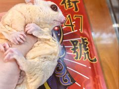 -小街47號江湖菜(四合院店)