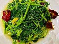 -眉州东坡(北苑华贸店)