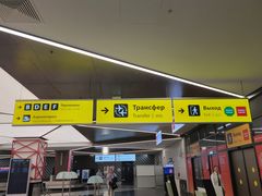 -谢列梅捷沃国际机场