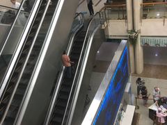 -上海市普陀区中心医院
