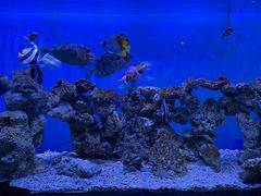 -太平洋海底世界