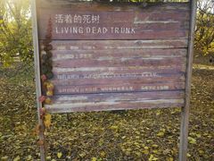 -北京麋鹿生态实验中心