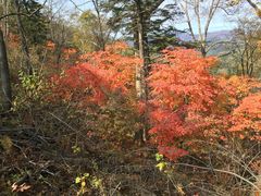 -丹东天桥沟景区