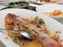 -同庆楼(奥体中心店)