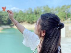 -广州市流溪河国家森林公园