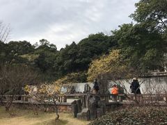 -无锡梅园公园