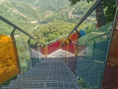 -鲁山国家森林公园