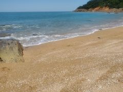 -望海潮海鲜店 特色家常菜(在海一方店)