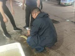 -新疆风味冷水鱼庄(友谊峰路店)