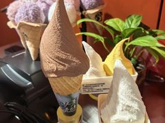 -野人先生现做冰淇淋(北京王府井东方新天地店)