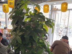 -长安后宰门水盆羊肉(新都心店)