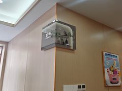 -康乐(滨江道店)