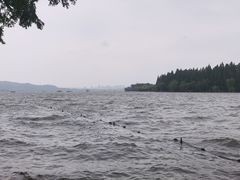 -浙江西子宾馆·牡丹厅