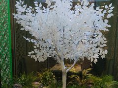 -七欣天香辣蟹火锅(无锡金太湖国际城店)