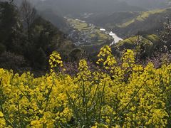 -石潭村