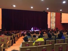 刘老根大舞台(正阳街分部)-大舞台剧场