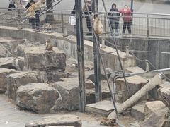 -无锡动物园·太湖欢乐园