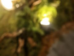 -川成元·麻辣香锅(凯德MALL西直门店)