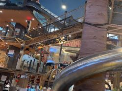 -卡通尼·Safari非洲探索乐园·生日会(金桥国际商业广场店)