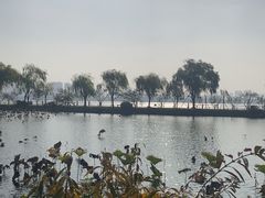 -无锡蠡湖国家湿地公园-蠡园