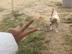 -LALA LAND日落半岛露营地