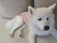 -怪兽屋·羊驼·猫咖·狗咖(俊华广场店)