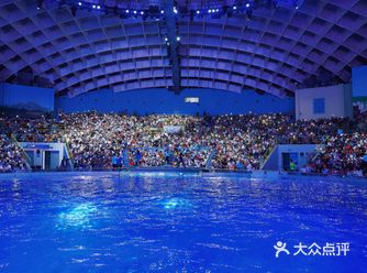 武汉必玩的海洋公园，国庆夜游场非常值！