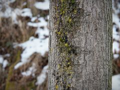 -秦岭终南山世界地质公园翠华山景区
